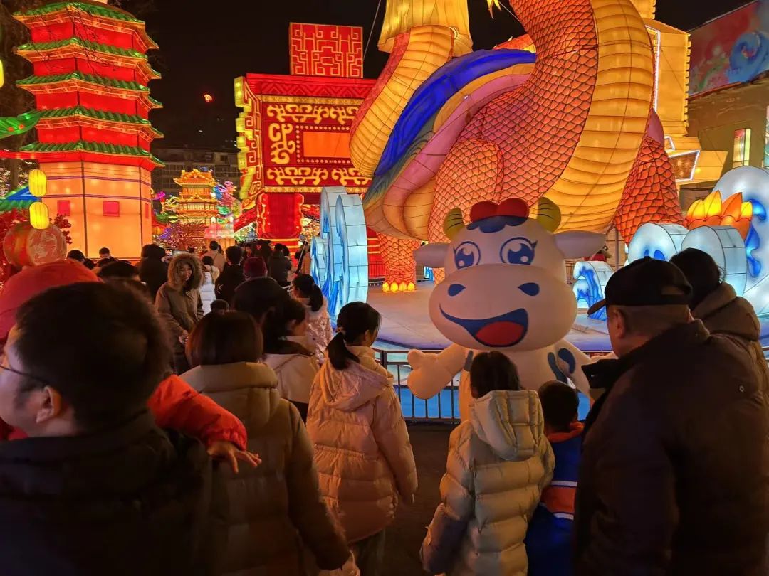 央視直播鄭州龍年燈會迎新春，花花牛品牌上大分