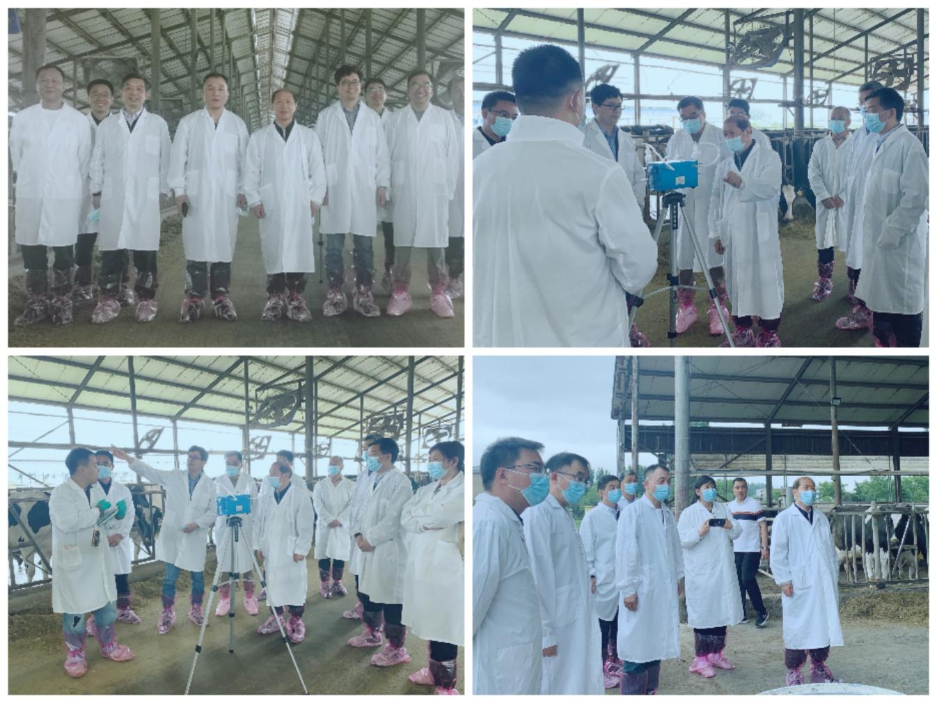 花花牛丨河南農(nóng)業(yè)大學(xué)黨委副書記、校長(zhǎng)介曉磊一行蒞臨花花牛河南瑞亞參觀調(diào)研