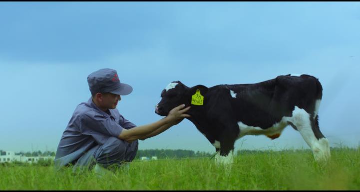 又雙叒叕獲獎啦！花花牛榮獲“乳品質(zhì)量安全管理 優(yōu)秀企業(yè)”