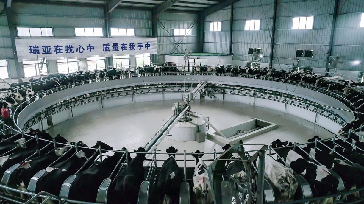 又雙叒叕獲獎啦！花花牛榮獲“乳品質(zhì)量安全管理 優(yōu)秀企業(yè)”