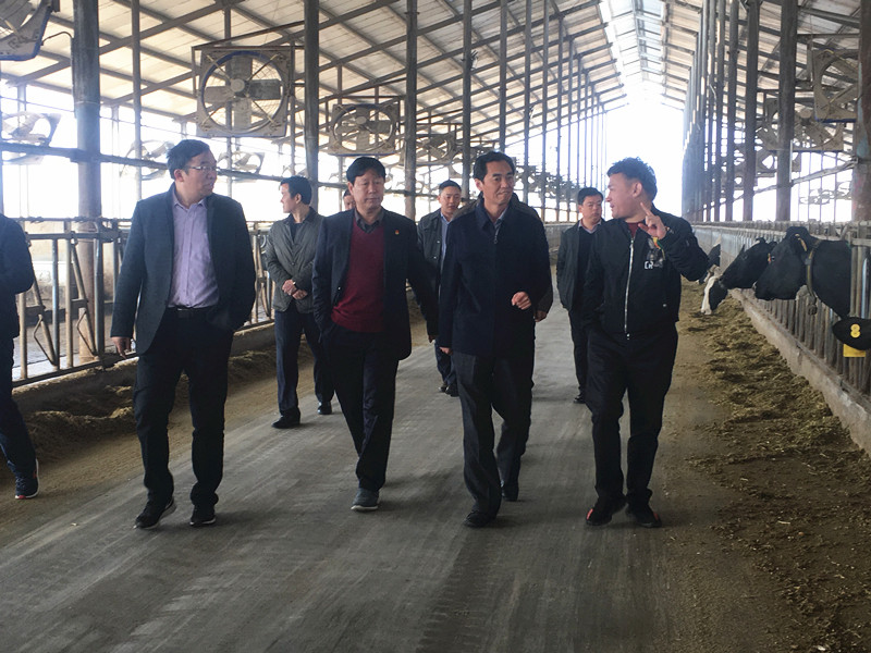 封丘縣縣長(zhǎng)王獻(xiàn)臣一行蒞臨 花花牛集團(tuán)養(yǎng)殖、乳品事業(yè)部參觀調(diào)研