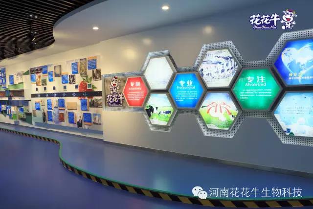 花花牛：務(wù)實(shí)、創(chuàng)新領(lǐng)潮市場 大企業(yè)體現(xiàn)大擔(dān)當(dāng)