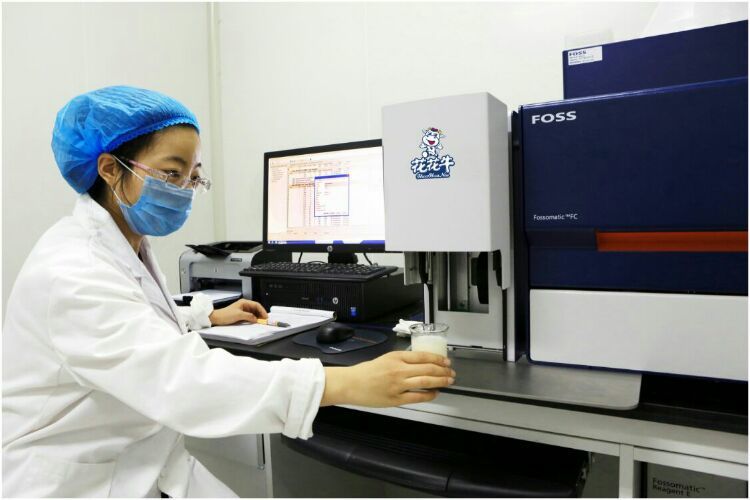 花花牛：務(wù)實(shí)、創(chuàng)新領(lǐng)潮市場 大企業(yè)體現(xiàn)大擔(dān)當(dāng)